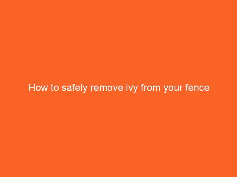 How to safely remove ivy from your fence