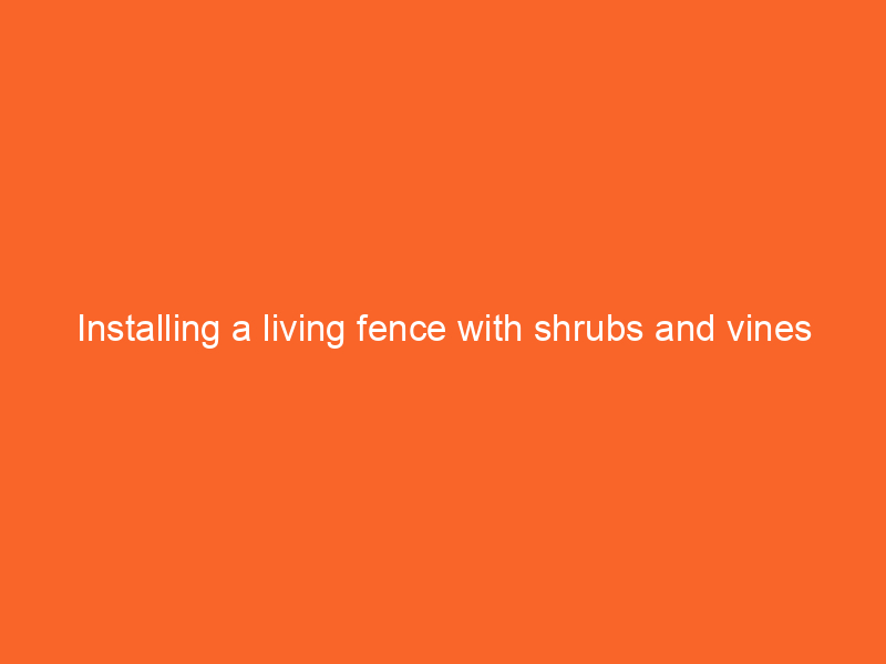 Installing a living fence with shrubs and vines