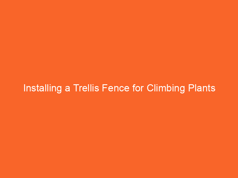 Installing a Trellis Fence for Climbing Plants