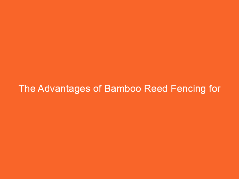 The Advantages of Bamboo Reed Fencing for Affordability