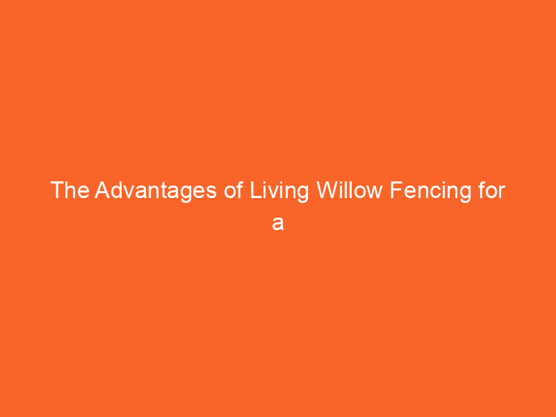 The Advantages of Living Willow Fencing for a Natural Aesthetic