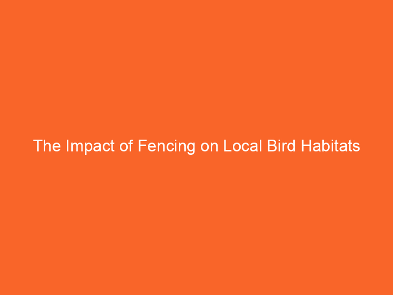 The Impact of Fencing on Local Bird Habitats