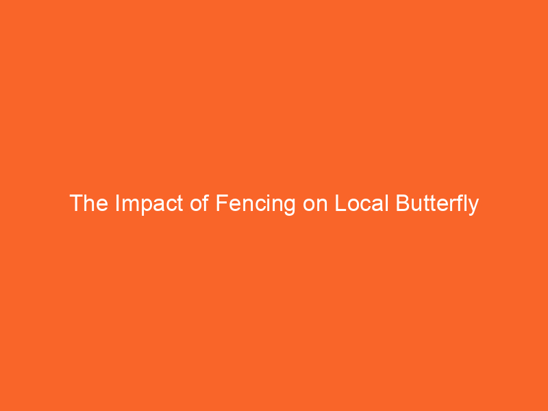 The Impact of Fencing on Local Butterfly Populations