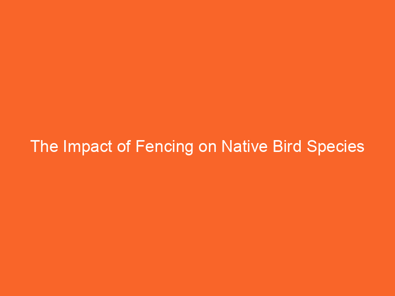 The Impact of Fencing on Native Bird Species