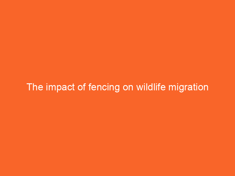 The impact of fencing on wildlife migration