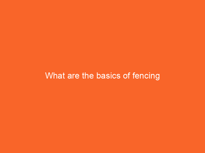 What are the basics of fencing